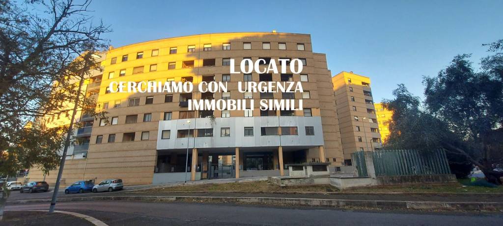 appartamento in affitto a Roma