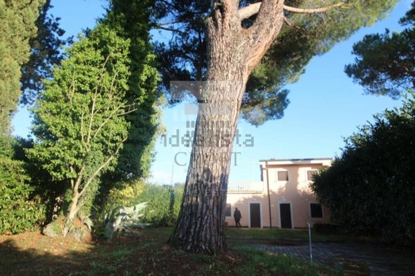 casa indipendente in affitto a Roma in zona Tor di Quinto