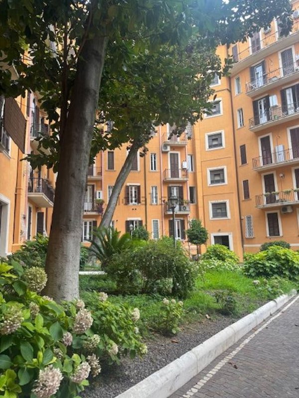 appartamento in affitto a Roma in zona Trieste