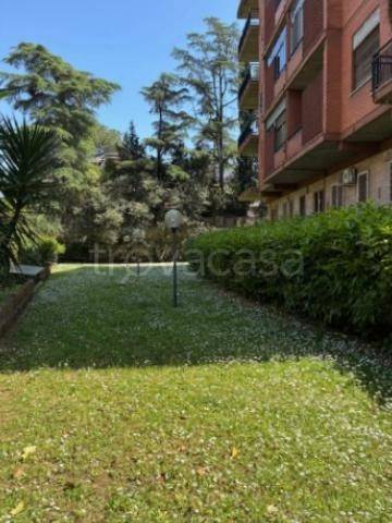 appartamento in affitto a Roma in zona Mostacciano