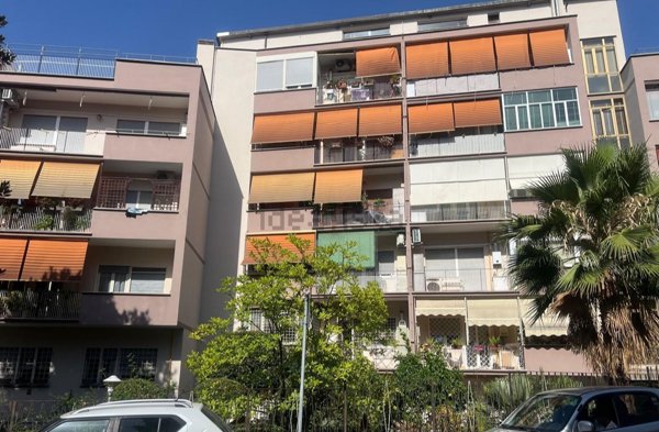 appartamento in affitto a Roma in zona Monte Sacro/Talenti