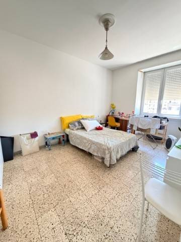 appartamento in affitto a Roma in zona Appio Latino