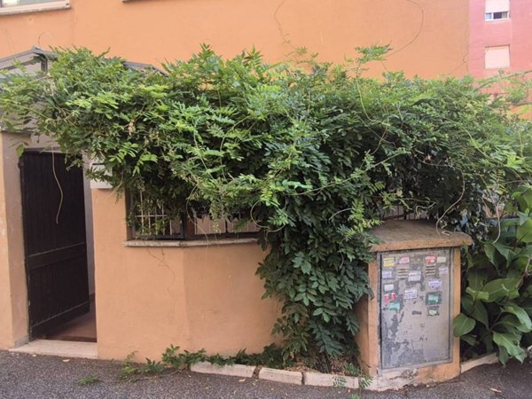 appartamento in affitto a Roma in zona Trieste