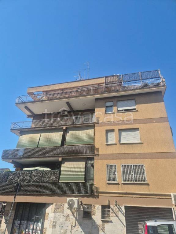 appartamento in affitto a Roma in zona Primavalle