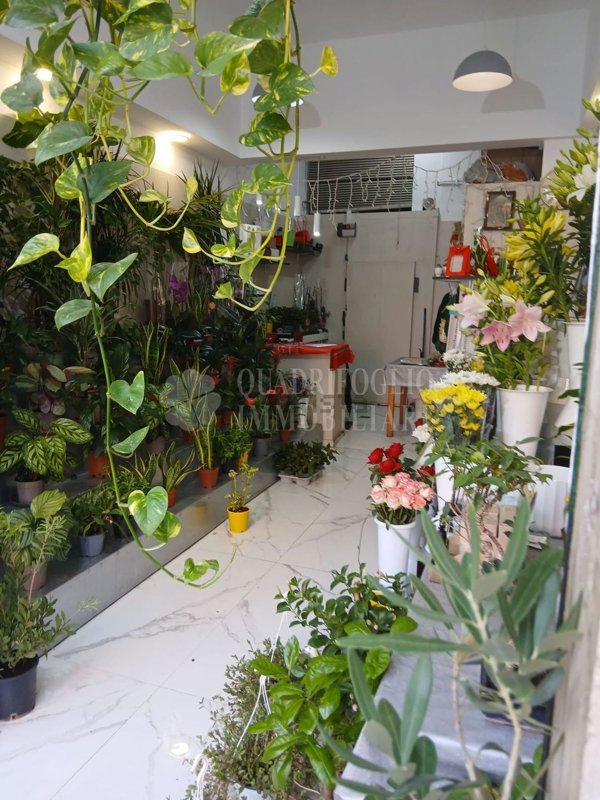 locale commerciale in affitto a Roma in zona Prenestino-Labicano