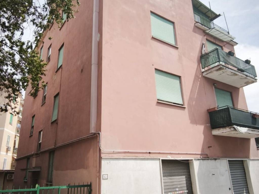 appartamento in affitto a Roma in zona Trionfale