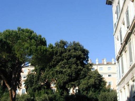 ufficio in affitto a Roma in zona Centro Storico