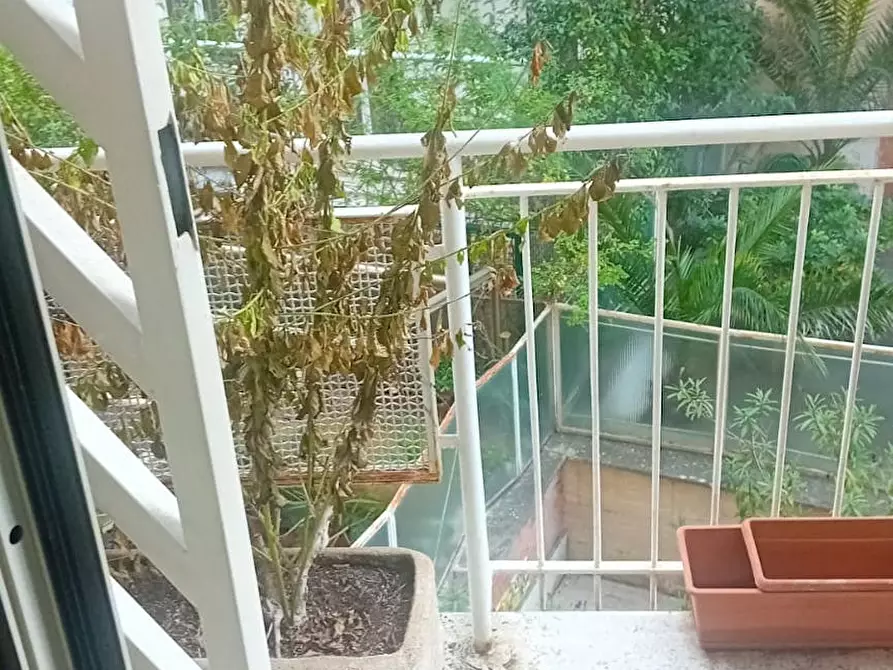 appartamento in affitto a Roma in zona Gianicolense