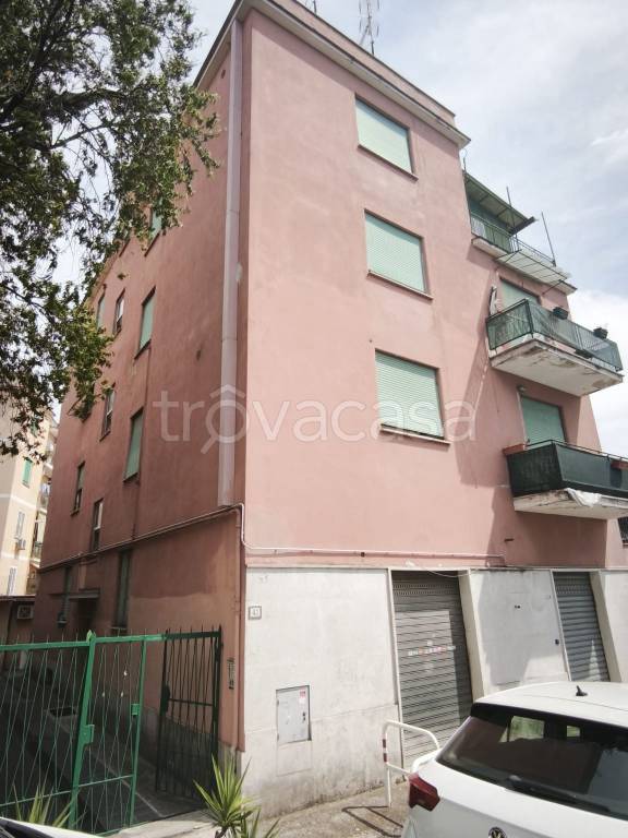 appartamento in affitto a Roma in zona Trionfale