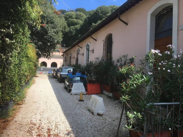 appartamento in affitto a Roma in zona Flaminio