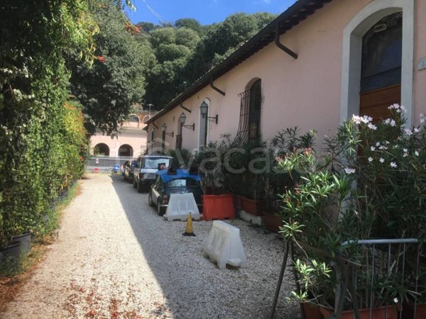 appartamento in affitto a Roma in zona Flaminio