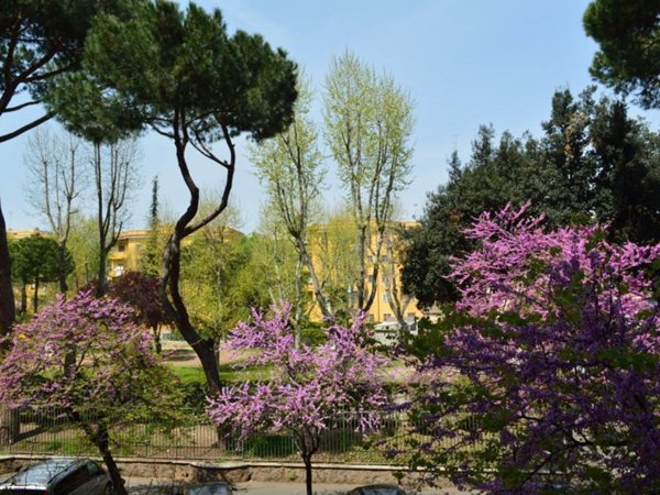 appartamento in affitto a Roma in zona Tiburtino