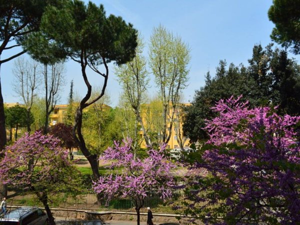 appartamento in affitto a Roma in zona Tiburtino
