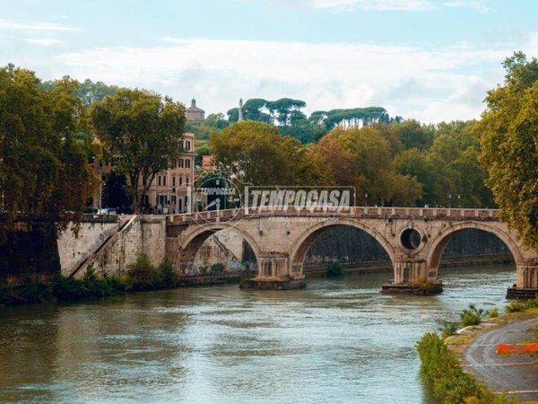 appartamento in affitto a Roma in zona Flaminio