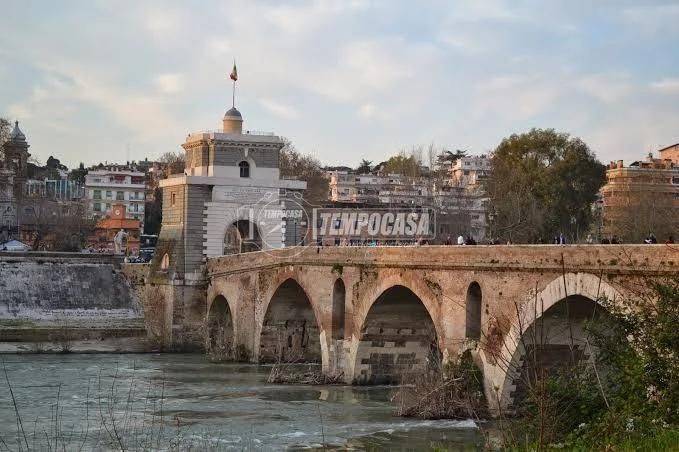 appartamento in affitto a Roma in zona Parioli