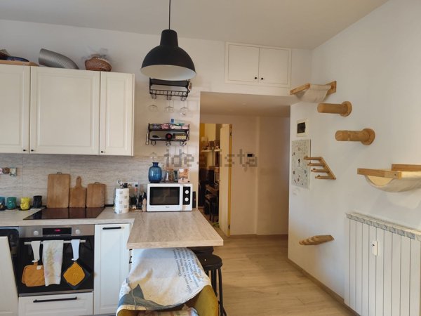 appartamento in affitto a Roma in zona Flaminio
