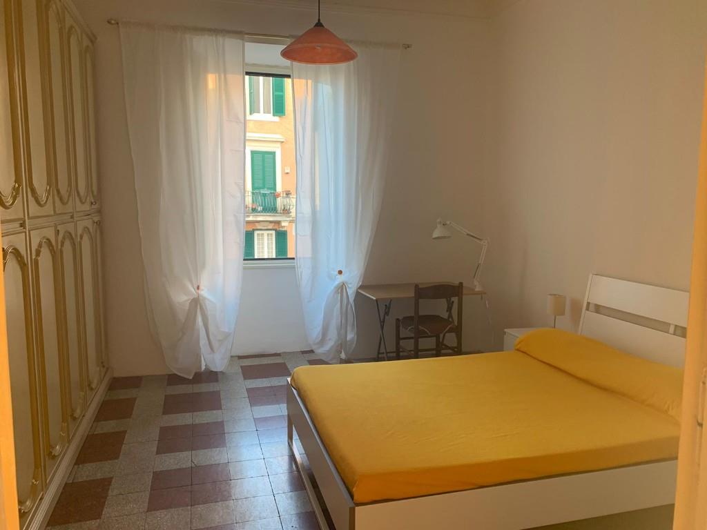 appartamento in affitto a Roma in zona Appio Latino