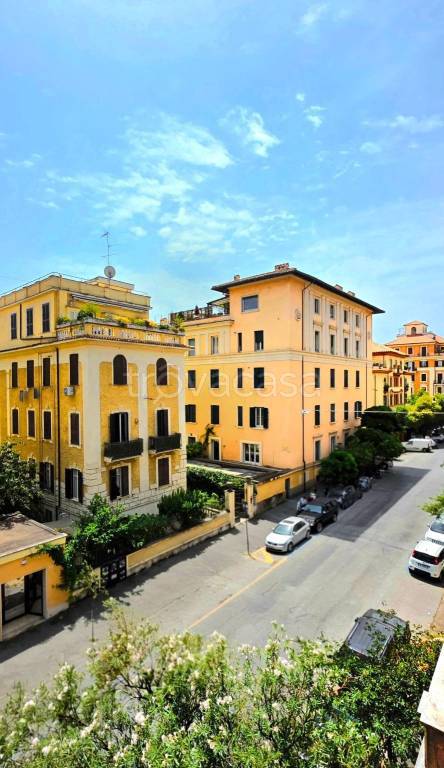 appartamento in affitto a Roma in zona Trieste