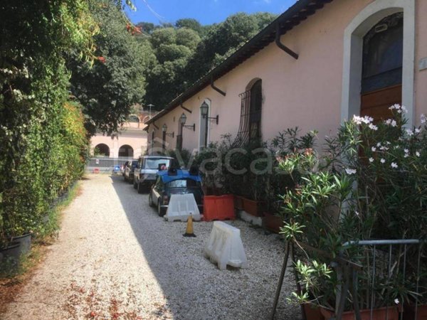 appartamento in affitto a Roma in zona Flaminio