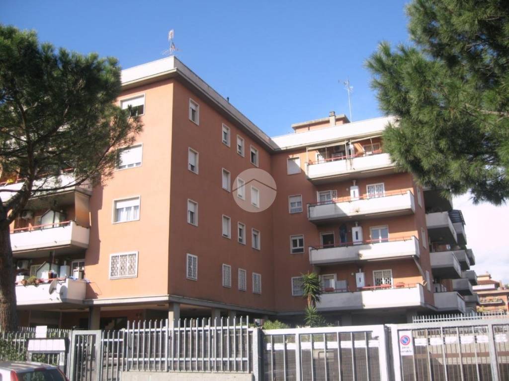 appartamento in affitto a Roma in zona Tor Vergata/Torrenova