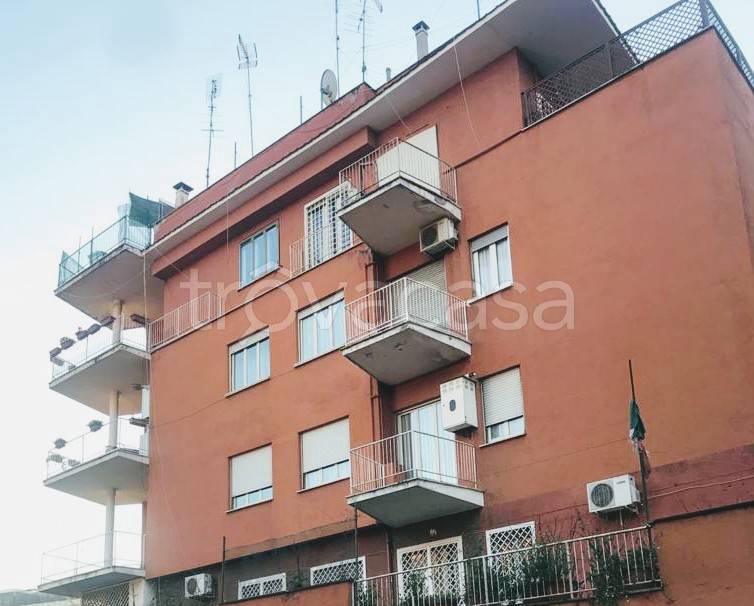 appartamento in affitto a Roma in zona Monte Sacro/Talenti