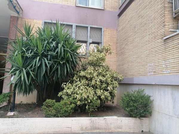appartamento in affitto a Roma in zona Monte Sacro/Talenti