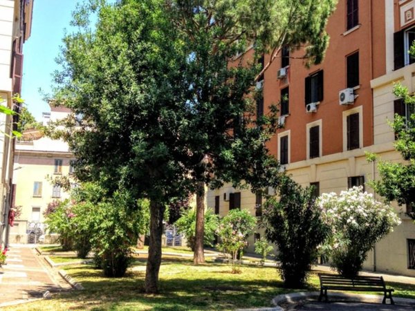 appartamento in affitto a Roma in zona Tuscolano