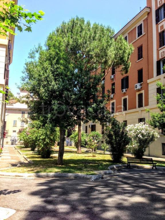 appartamento in affitto a Roma in zona Tuscolano