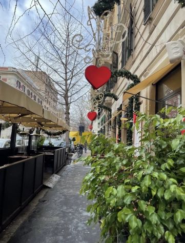 appartamento in affitto a Roma in zona Trionfale