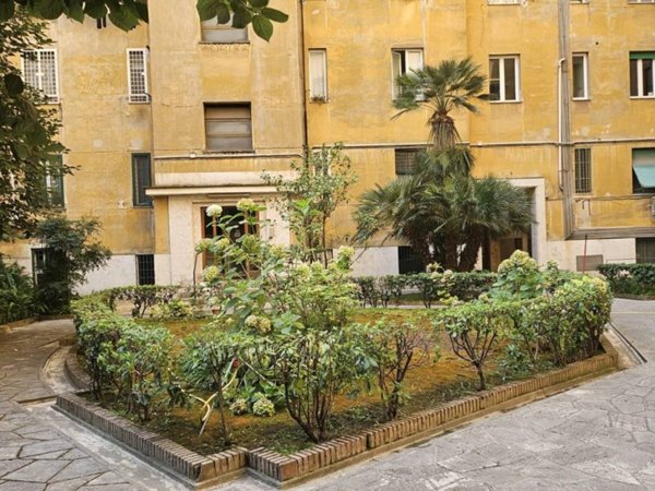 appartamento in affitto a Roma in zona Flaminio