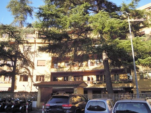 appartamento in affitto a Roma in zona Trionfale