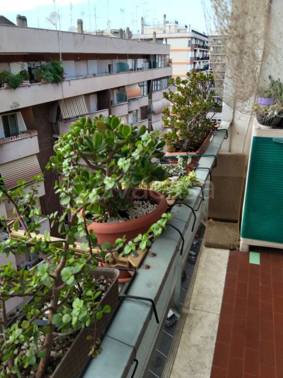 appartamento in affitto a Roma in zona Pietralata