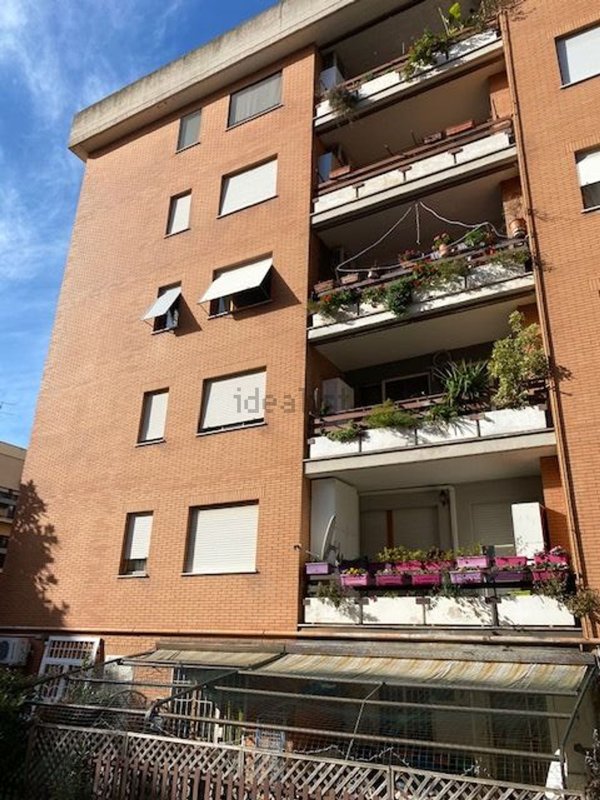appartamento in affitto a Roma in zona Giuliano Dalmata