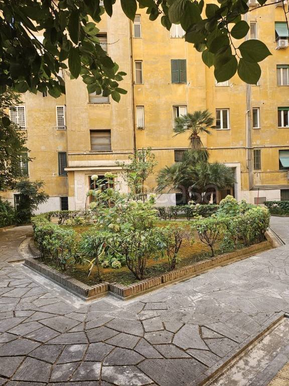 appartamento in affitto a Roma in zona Flaminio