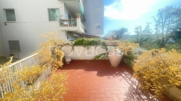 appartamento in affitto a Roma in zona Pinciano
