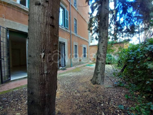 appartamento in affitto a Roma in zona Nomentano