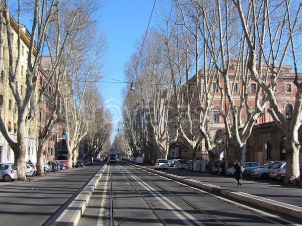 appartamento in affitto a Roma in zona Trastevere