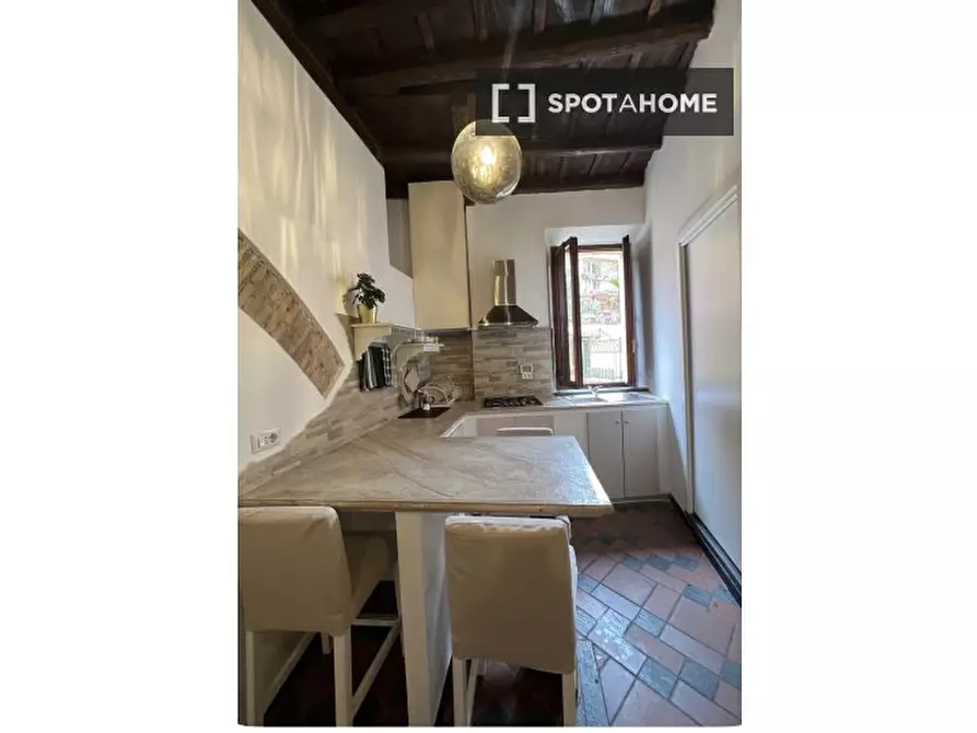 appartamento in affitto a Roma in zona Trastevere