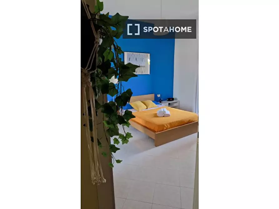 appartamento in affitto a Roma in zona Monte Sacro/Talenti