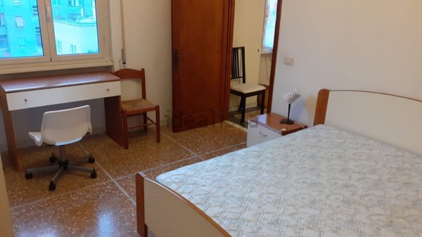 casa indipendente in affitto a Roma in zona Trieste