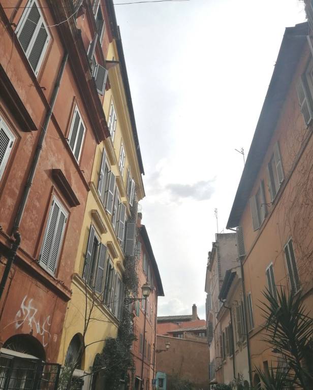 appartamento in affitto a Roma in zona Trastevere