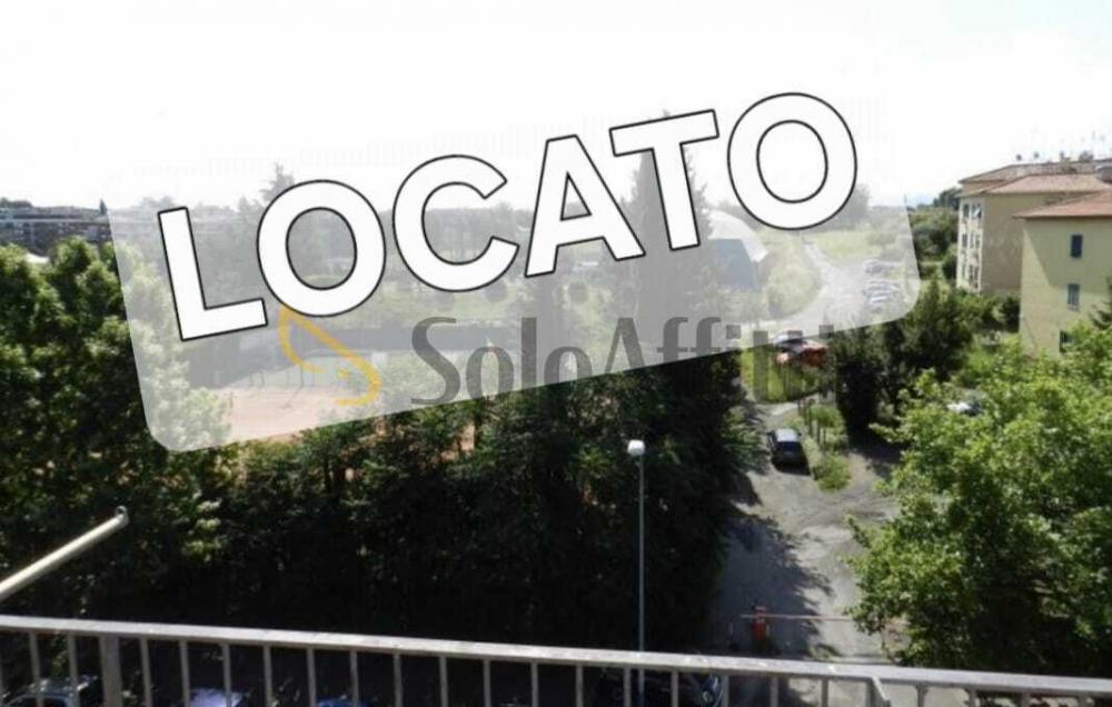 appartamento in affitto a Roma in zona Monte Sacro/Talenti