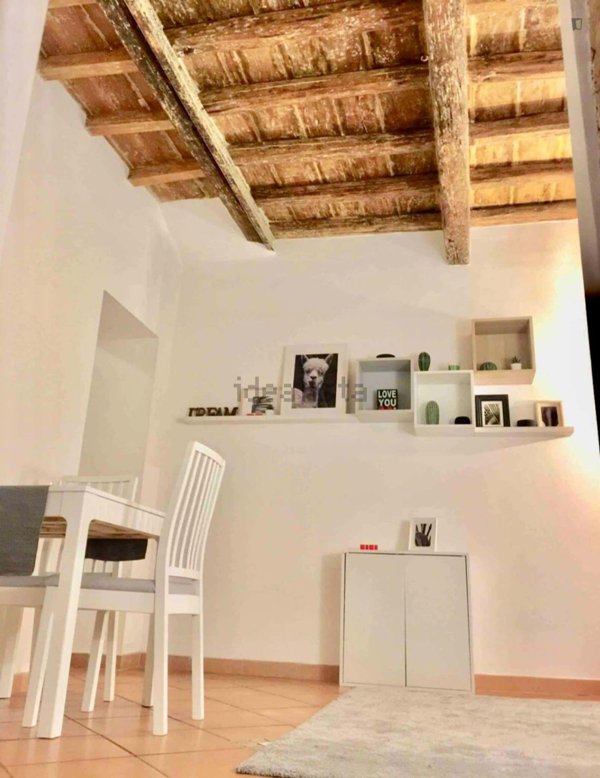 appartamento in affitto a Roma in zona Trastevere