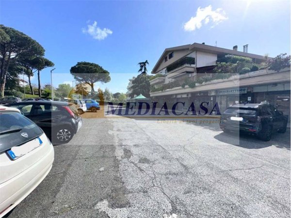 negozio in affitto a Roma in zona Olgiata