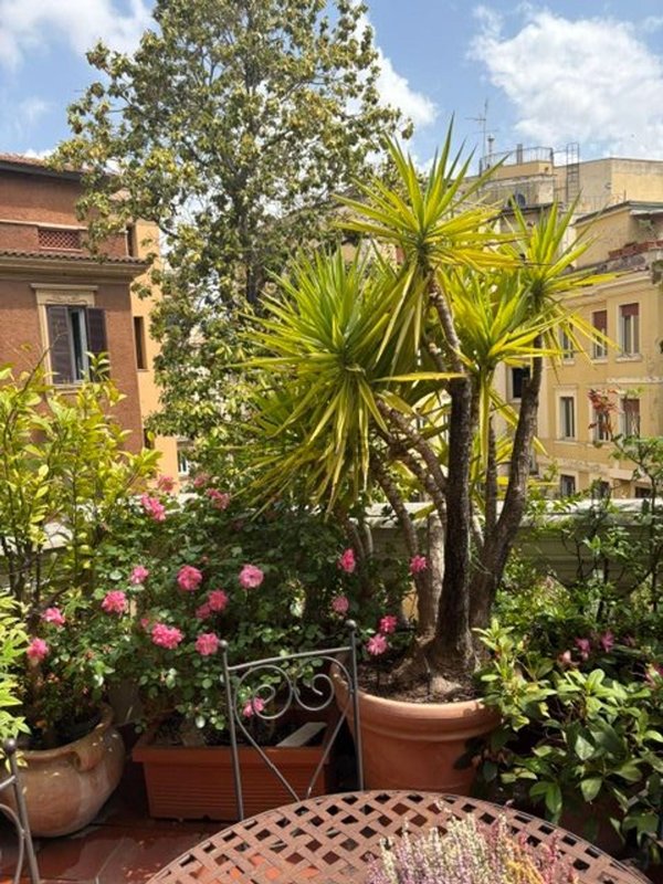 appartamento in affitto a Roma in zona Trieste