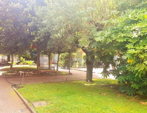 appartamento in affitto a Roma in zona Appio Latino