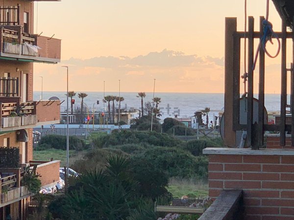 appartamento in affitto a Roma in zona Lido di Castel Fusano