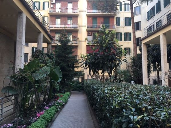 appartamento in affitto a Roma in zona Della Vittoria