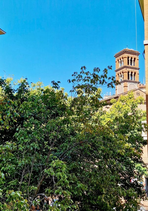 appartamento in affitto a Roma in zona Trieste