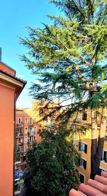 appartamento in affitto a Roma in zona Trieste
